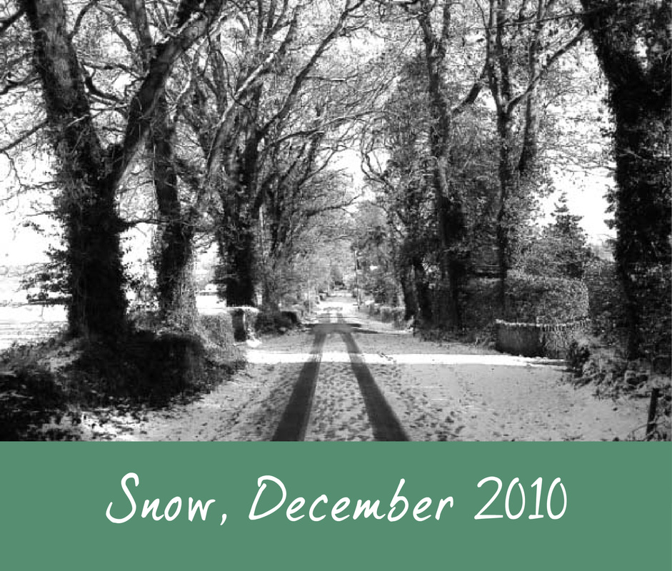 Snow in Kilmington, December 2010